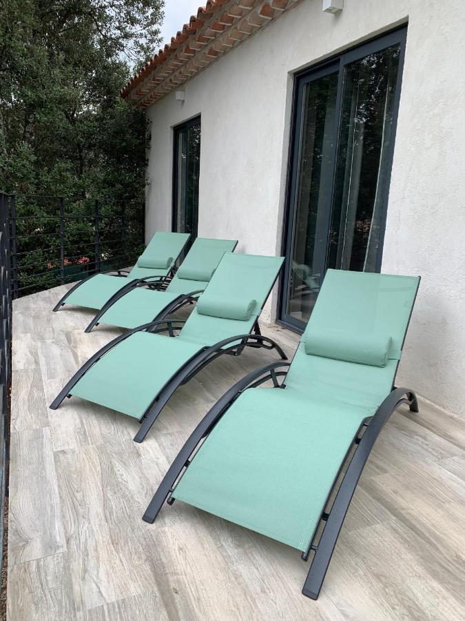 Magnifique Villa Classee 4* Meuble De Tourisme Flassans-sur-Issole Экстерьер фото