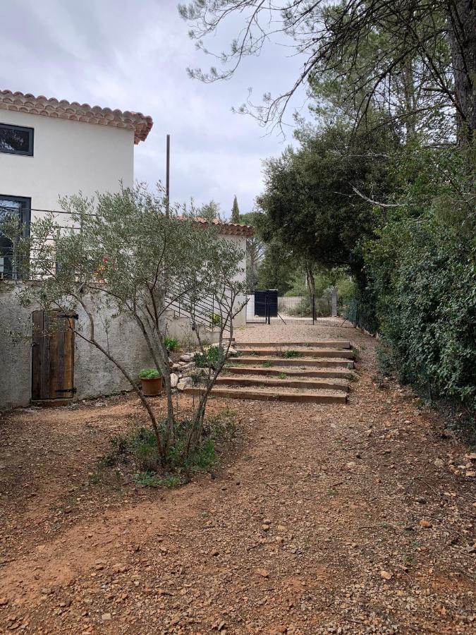 Magnifique Villa Classee 4* Meuble De Tourisme Flassans-sur-Issole Экстерьер фото